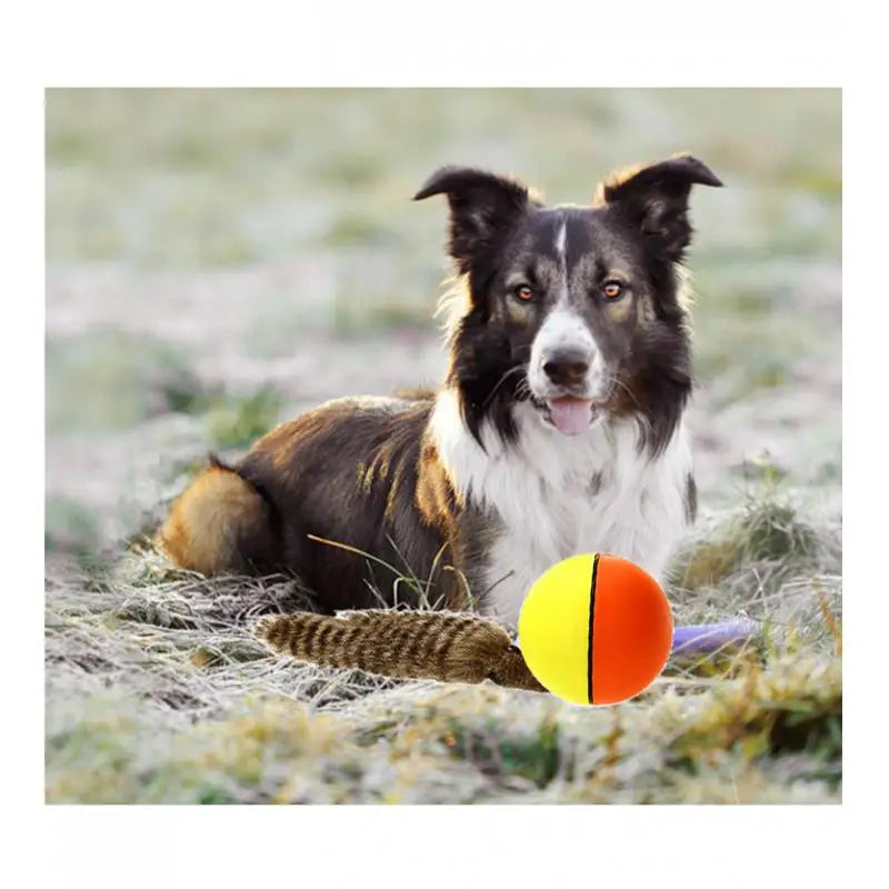 Pet Rolling Ball Lovely Pet Weasel Motorized Rolling Ball
