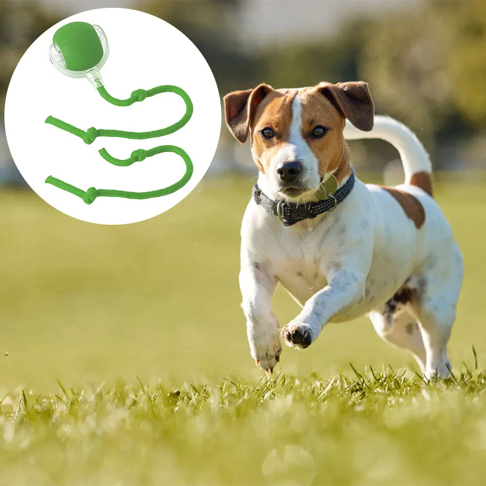 Pet Automatic Rolling Ball Toys Cat Interactive Ball Toys