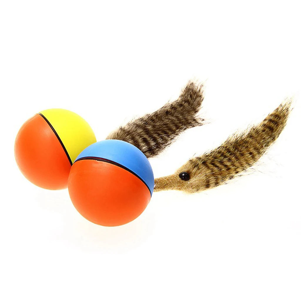 Pet Rolling Ball Lovely Pet Weasel Motorized Rolling Ball