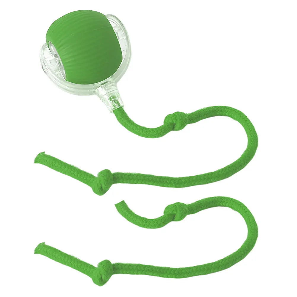 Pet Automatic Rolling Ball Toys Cat Interactive Ball Toys