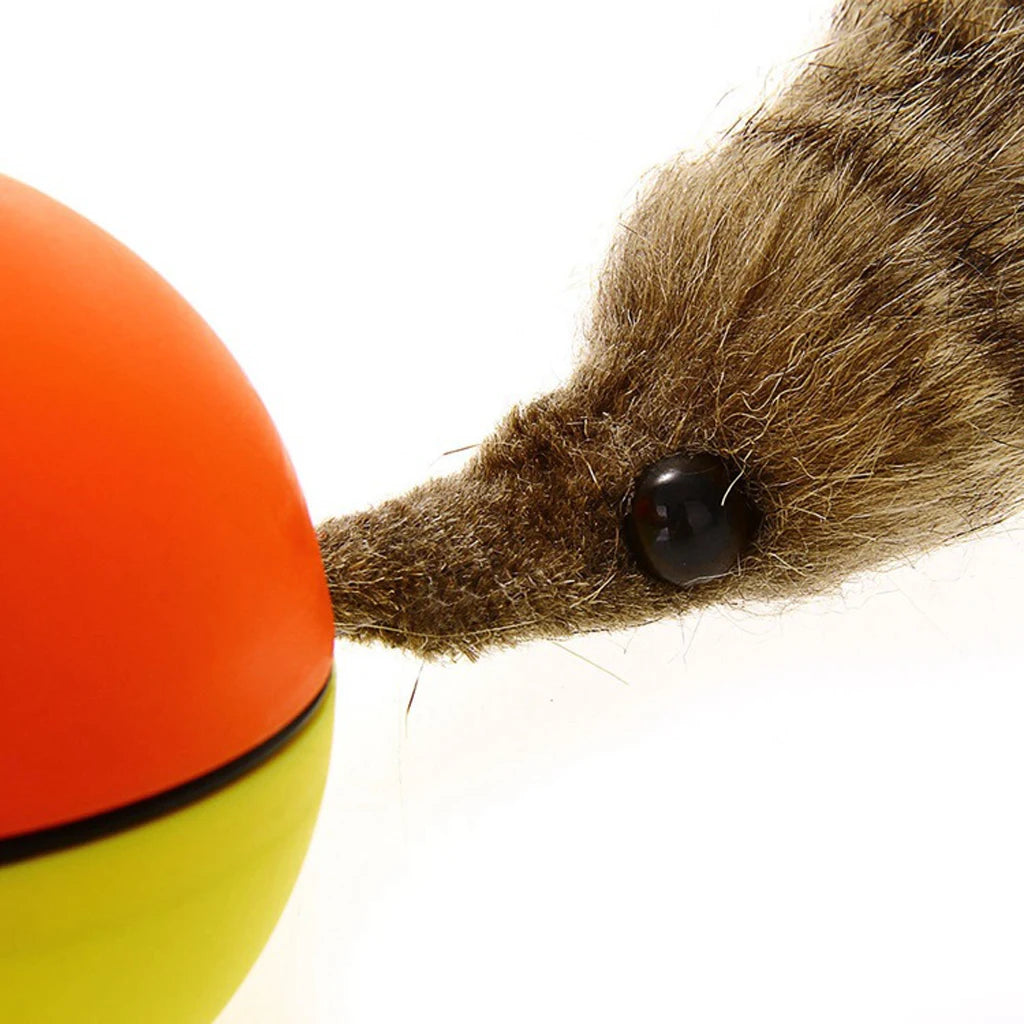 Pet Rolling Ball Lovely Pet Weasel Motorized Rolling Ball