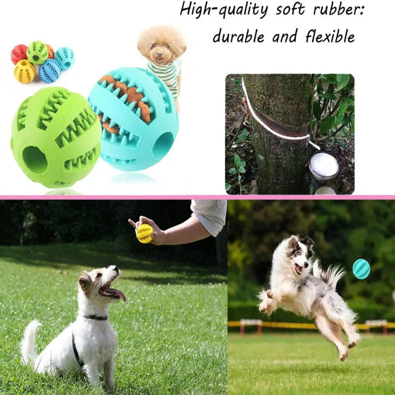 Pet Toy Ball Interactive Rubber Balls Puppy Chewing Toys