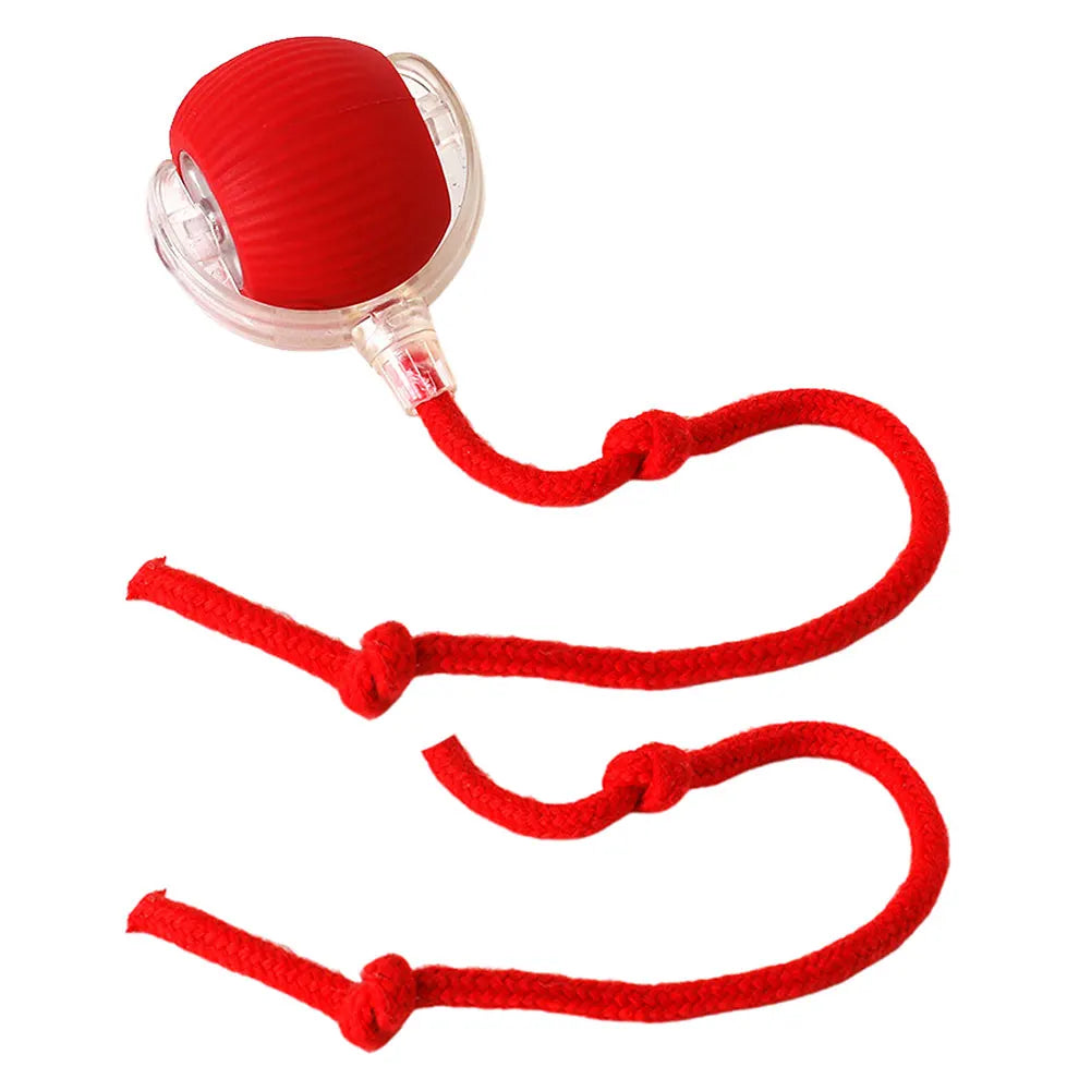 Pet Automatic Rolling Ball Toys Cat Interactive Ball Toys