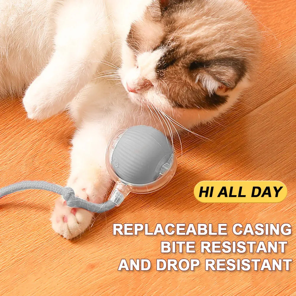 Pet Automatic Rolling Ball Toys Cat Interactive Ball Toys