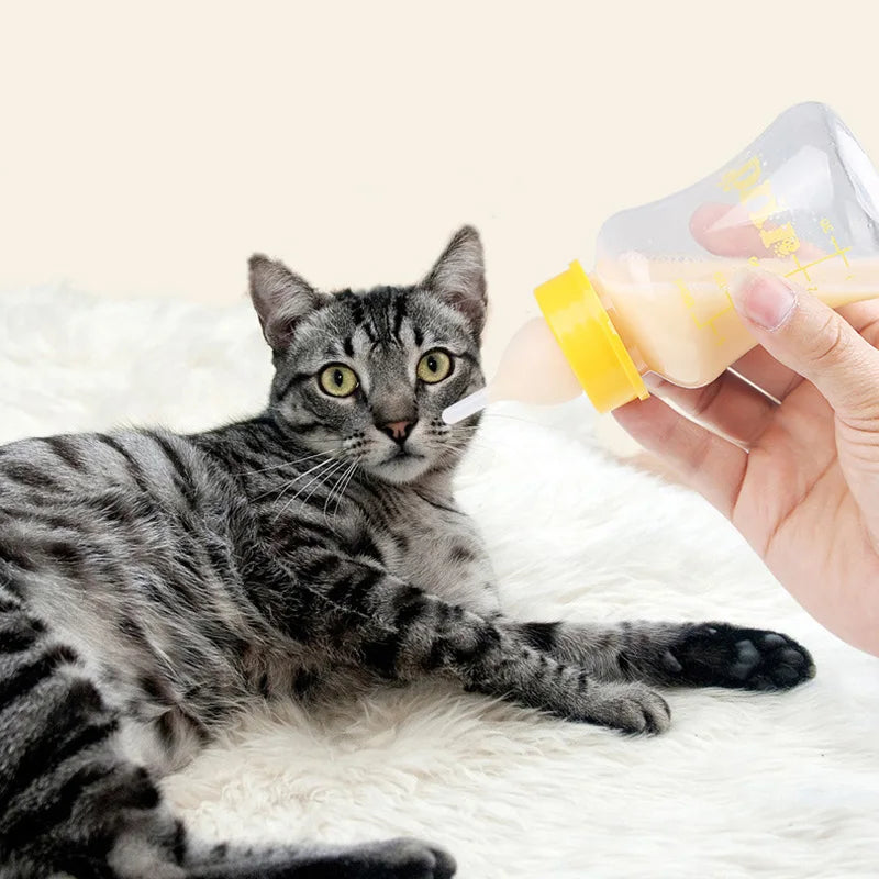 60/150ml Water Bottle Dog Feeding Accessories mascotas Products