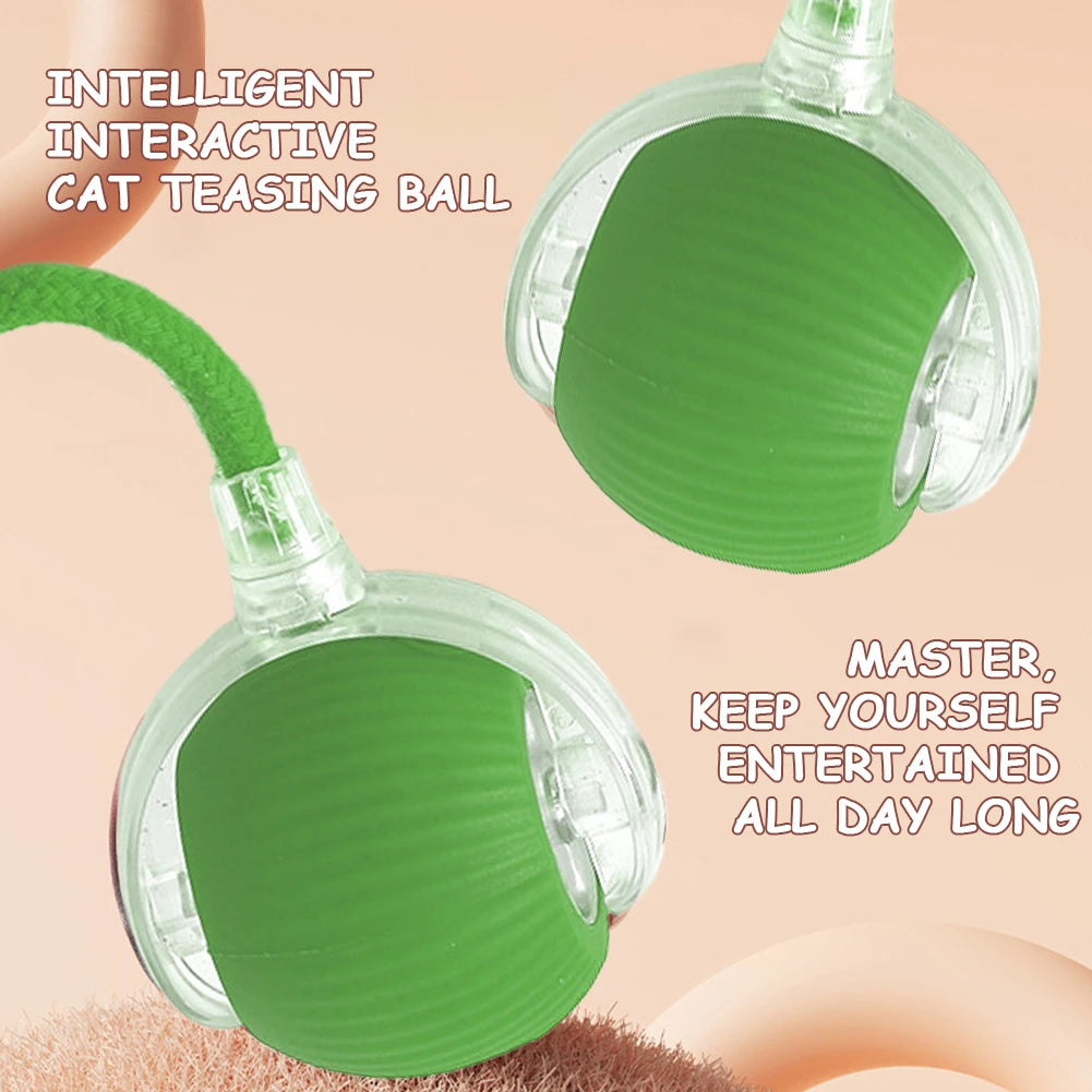 Pet Automatic Rolling Ball Toys Cat Interactive Ball Toys
