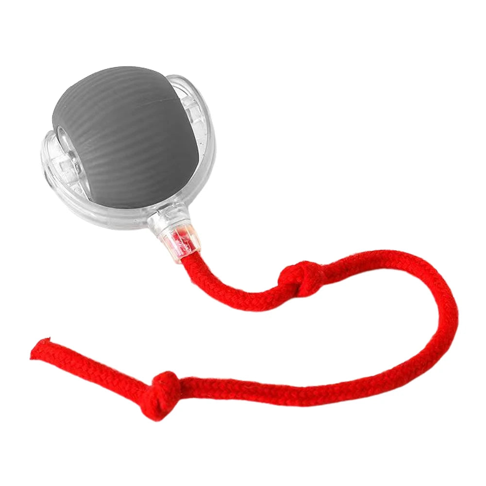 Pet Automatic Rolling Ball Toys Cat Interactive Ball Toys
