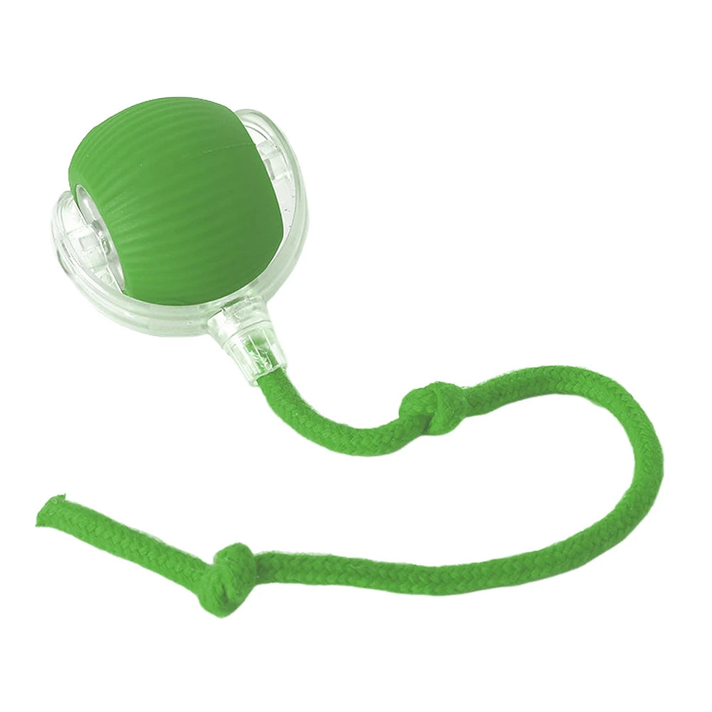 Pet Automatic Rolling Ball Toys Cat Interactive Ball Toys