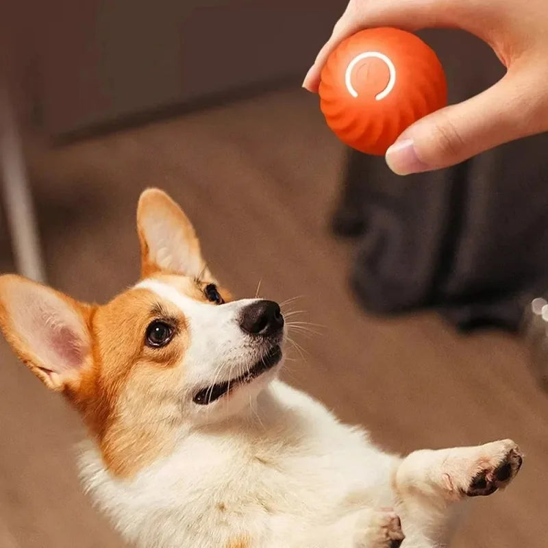 Pet Toy Ball Automatic Moving Bouncing Rolling Ball
