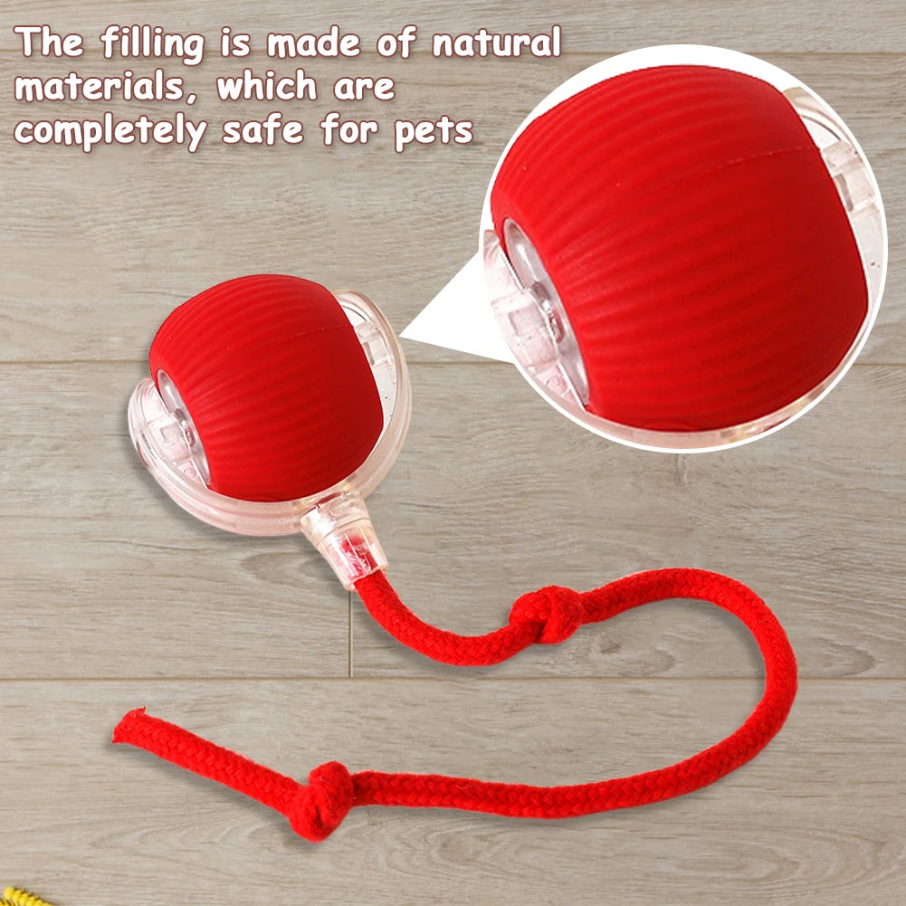 Pet Automatic Rolling Ball Toys Cat Interactive Ball Toys