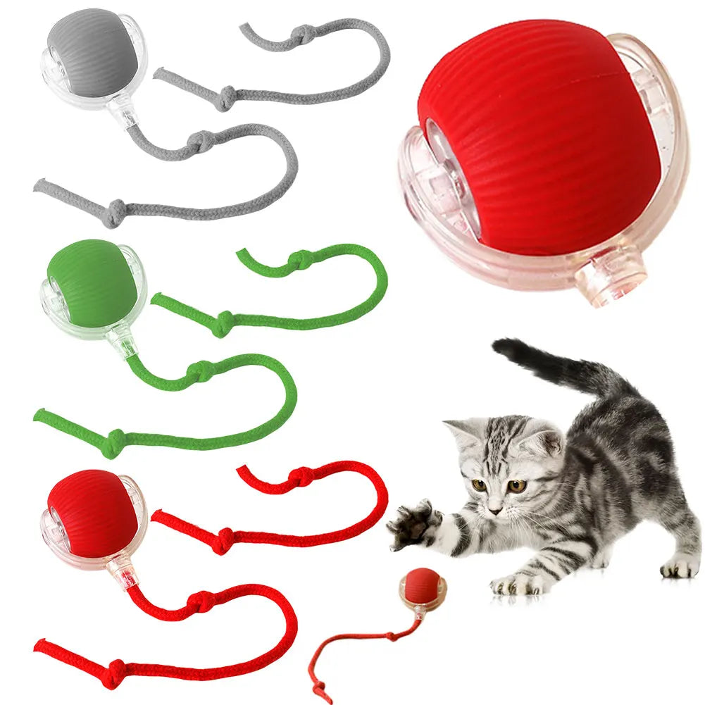 Pet Automatic Rolling Ball Toys Cat Interactive Ball Toys